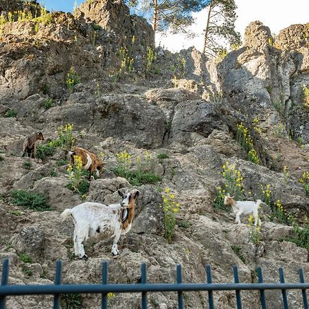 Cafe Pension Leistner Obertrubach Εξωτερικό φωτογραφία