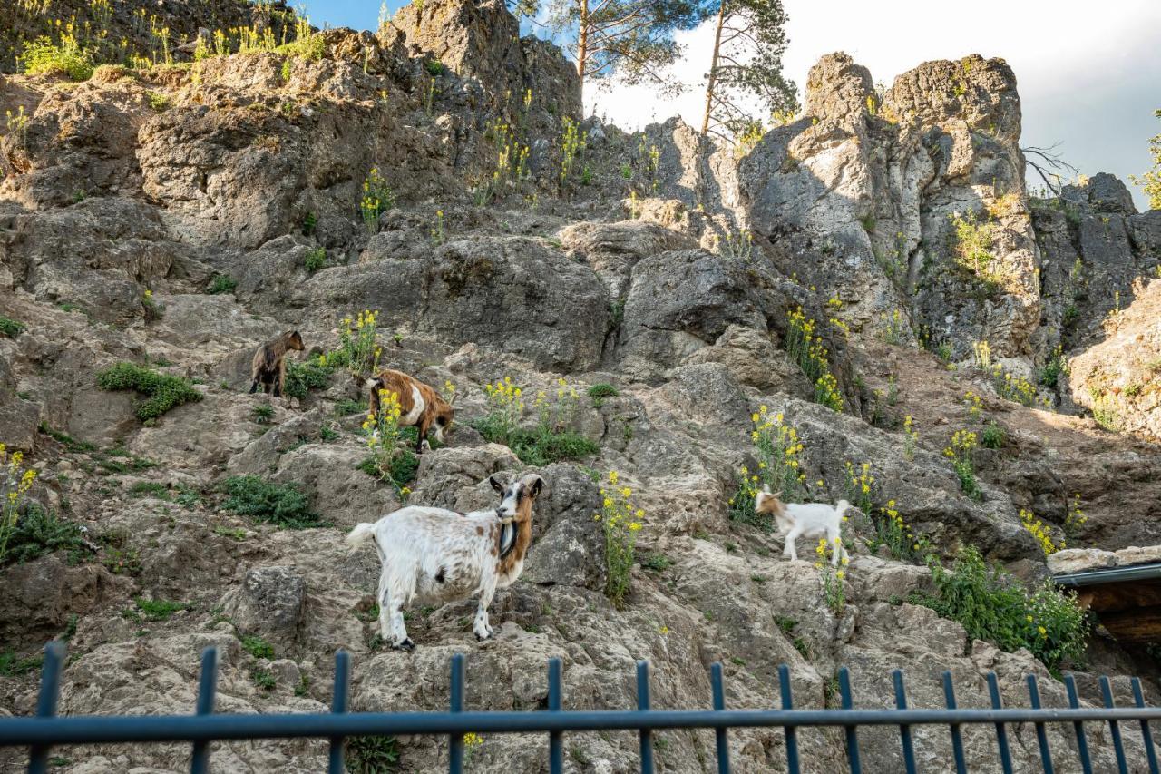 Cafe Pension Leistner Obertrubach Εξωτερικό φωτογραφία